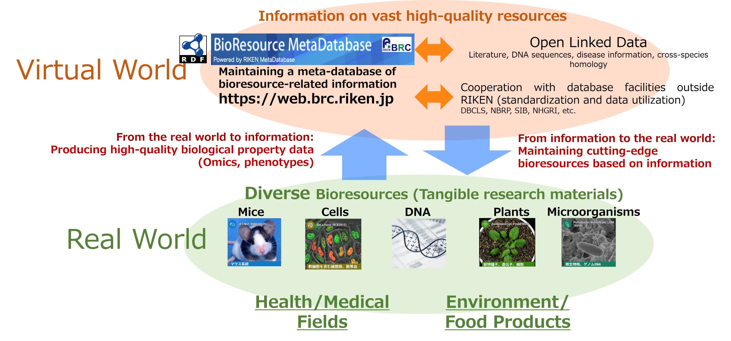 Fig. 2: Interactivity between information and bioresources