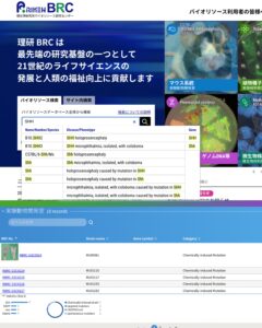 image of searching on a bioresource on BRC website